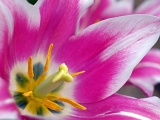 DSCF0592c