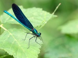 DSCF1055