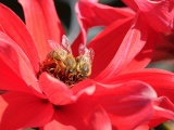 DSCF1446b