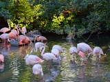 DSCF0429b